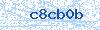 Code aus dem Bild
