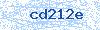 Code aus dem Bild