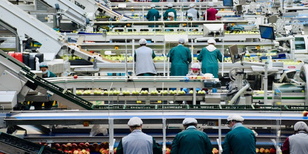 Einführung in die Grundlagen der Industrieautomation: Was ist sie und warum ist sie wichtig?